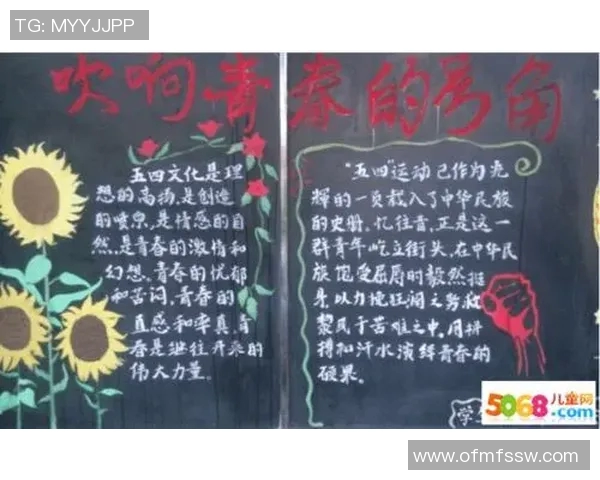 上海排球队的辉煌征程与冠军赛背后的奋斗故事
