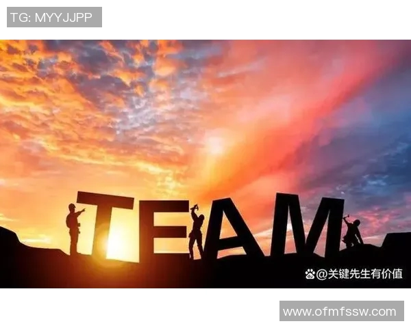 杭州排球队展现卓越团队协作精神大满贯点评分析其成功之道