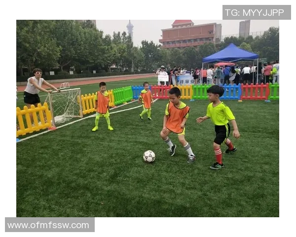 探索d组足球的战术魅力与球队风采，揭示赛场背后的精彩故事与球员心声